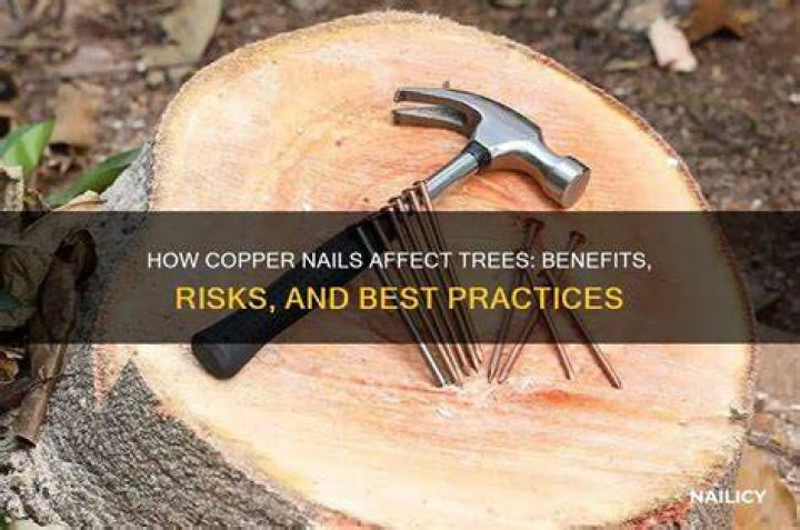 What do copper nails do to trees?