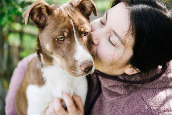 What do dogs think when we kiss them?