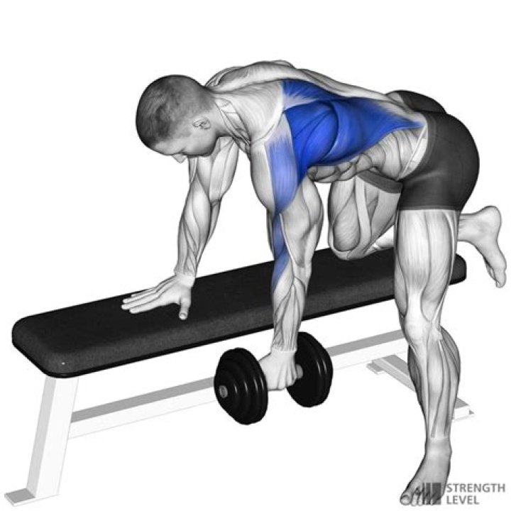 What do dumbbell rows target?