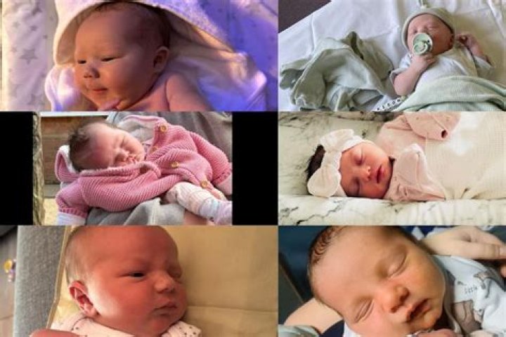 What do French call babies?