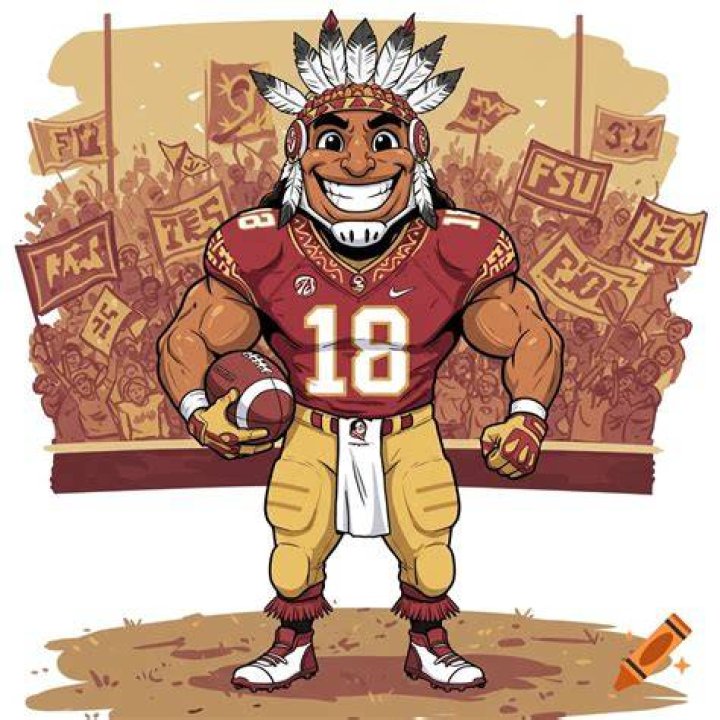 What do FSU fans say?