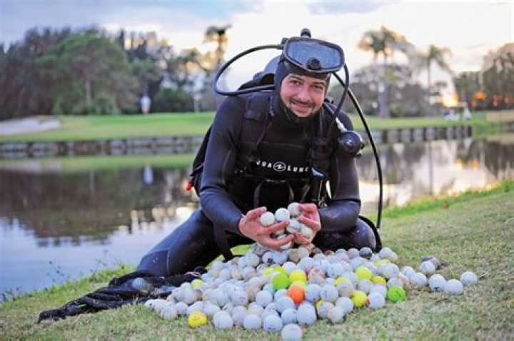 What do golf ball divers do?