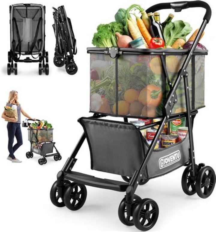 What do Southerners call a shopping cart?