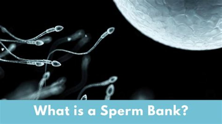 What do they do at a sperm bank?