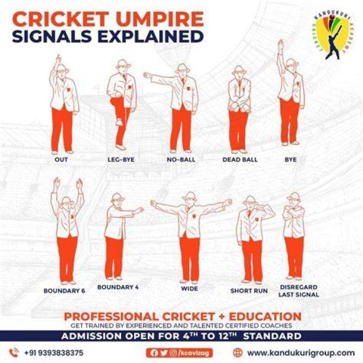 What do umpires hold in their hand in IPL?