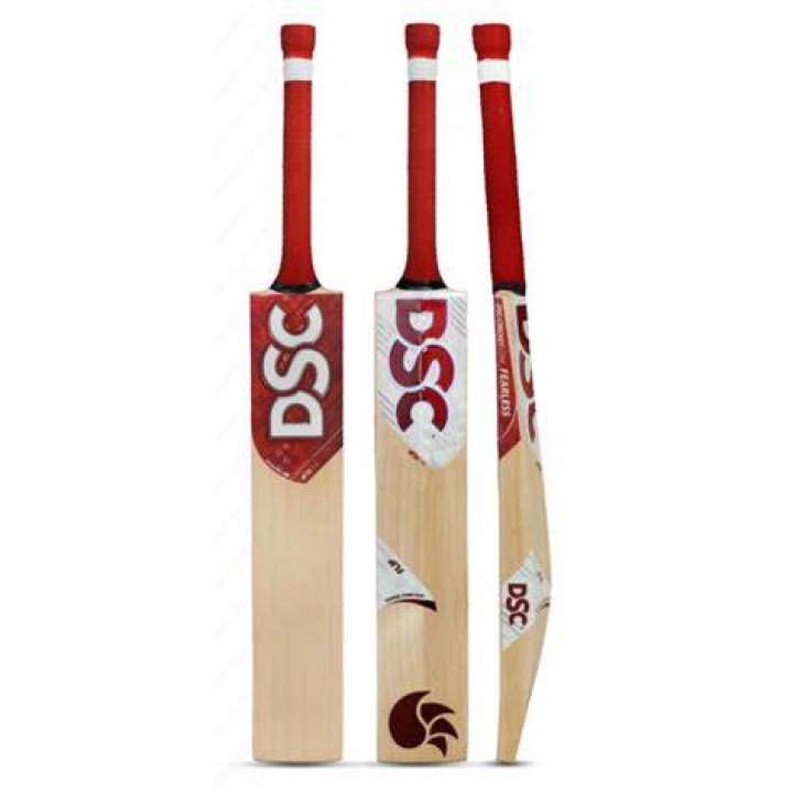What do you call a cricket bat?