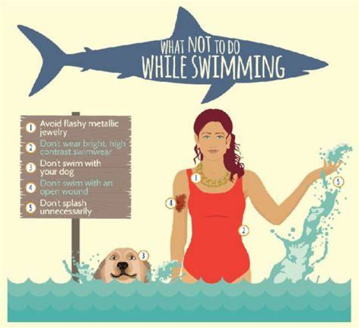 What do you do if you see a shark while surfing?