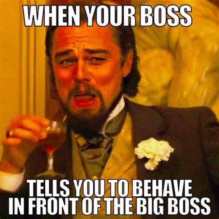 What do you do when your boss humiliates you?