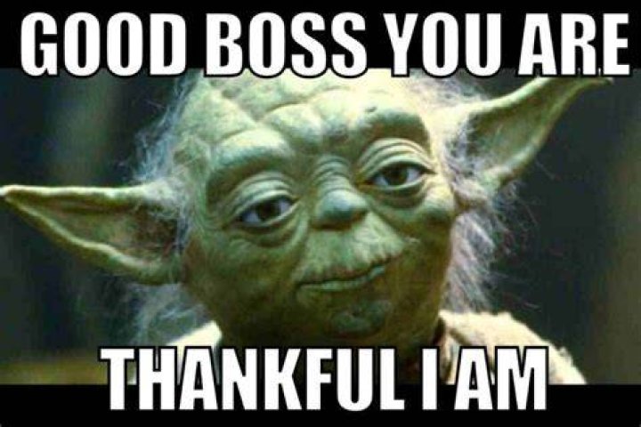 What do you do when your boss is mad at you?
