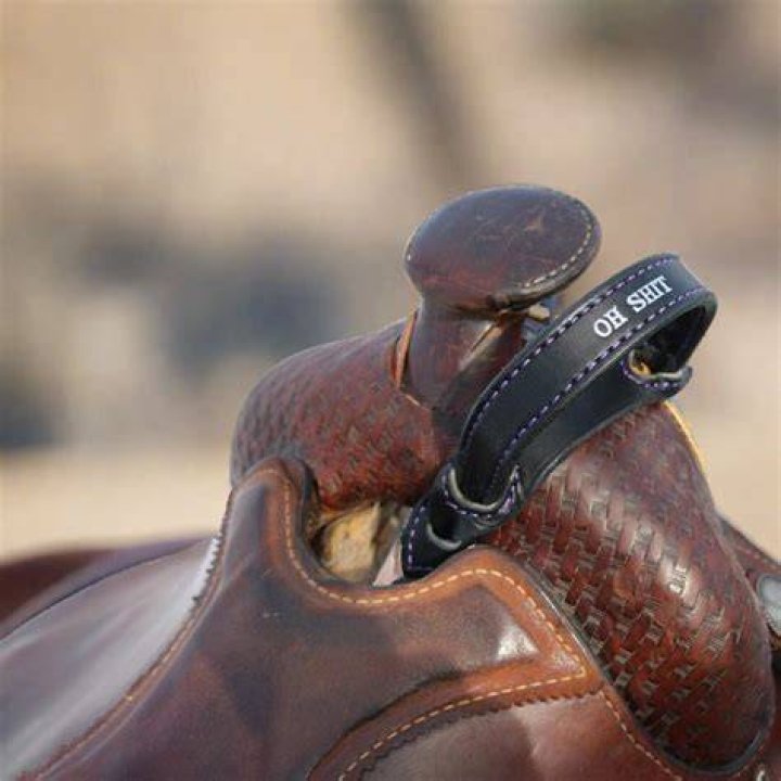 What do you do with your horse at night?