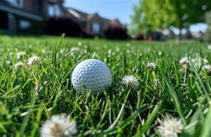 What do you get relief from in golf?