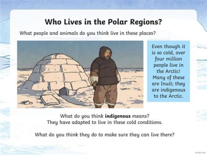What do you think indigenous means?