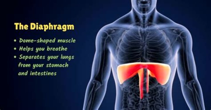 What does a diaphragm flutter feel like?