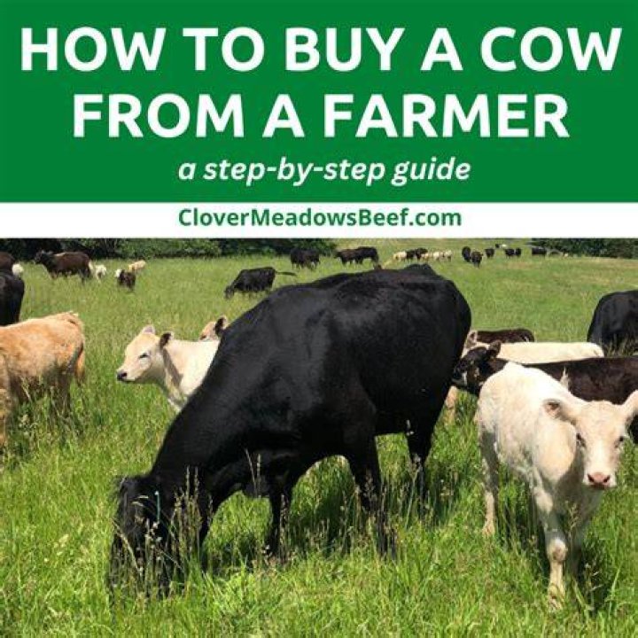 What does AAA mean for beef?