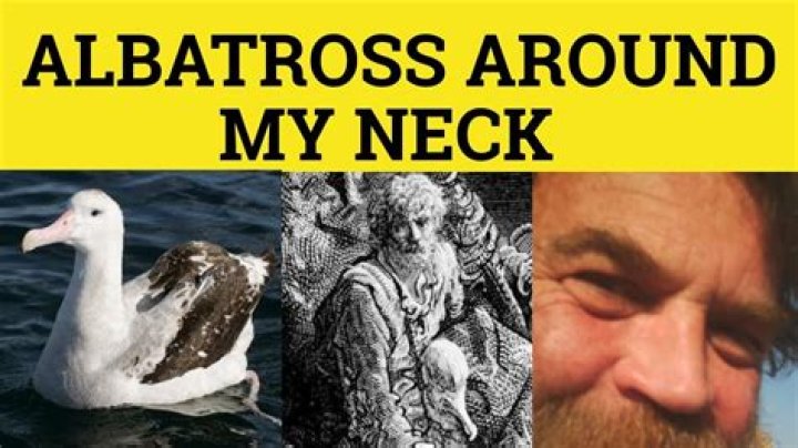 What does albatross around your neck mean?