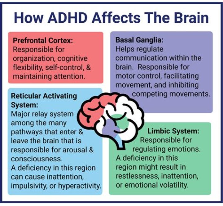 What does an ADHD breakdown look like?