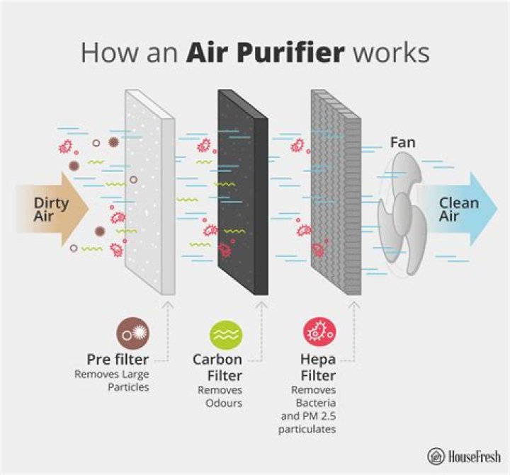 What does an air purifier do?