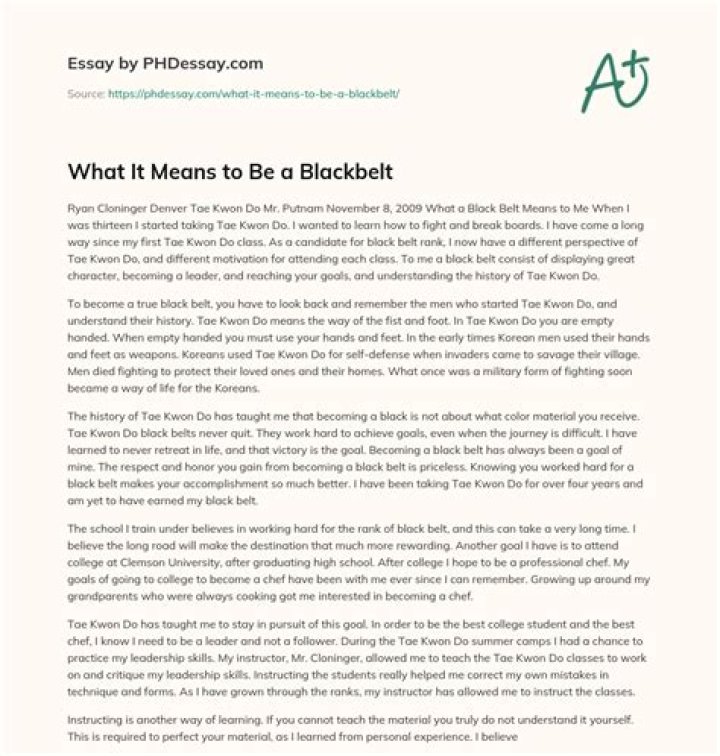 What does black belt mean essay?