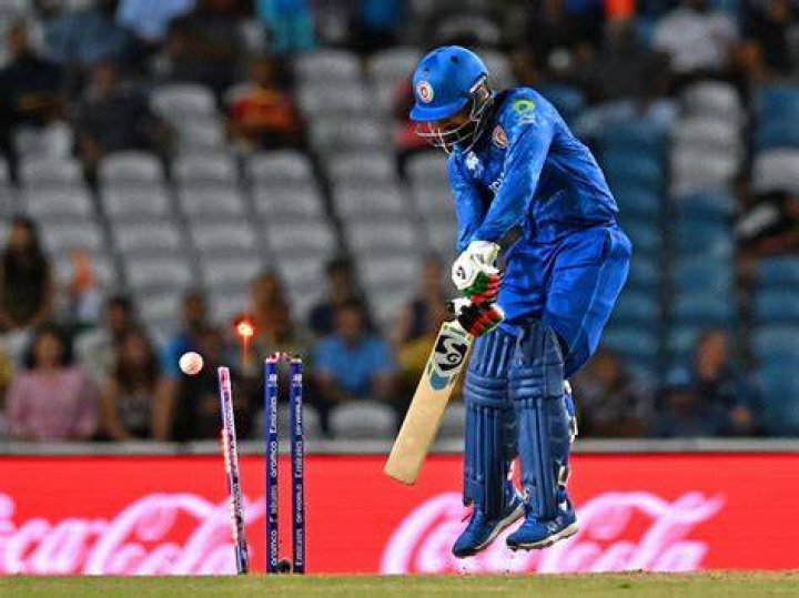 What does bowled mean in cricket?