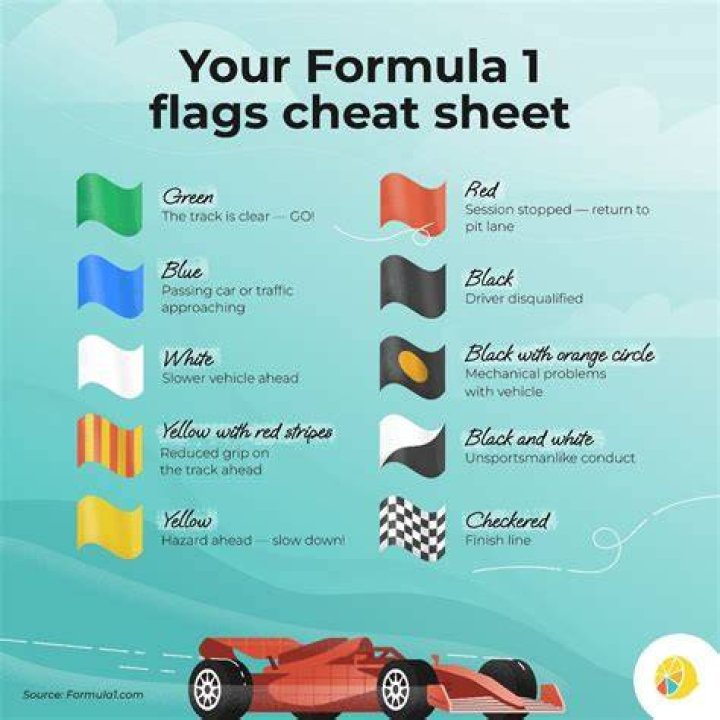 What does brought down mean in racing?