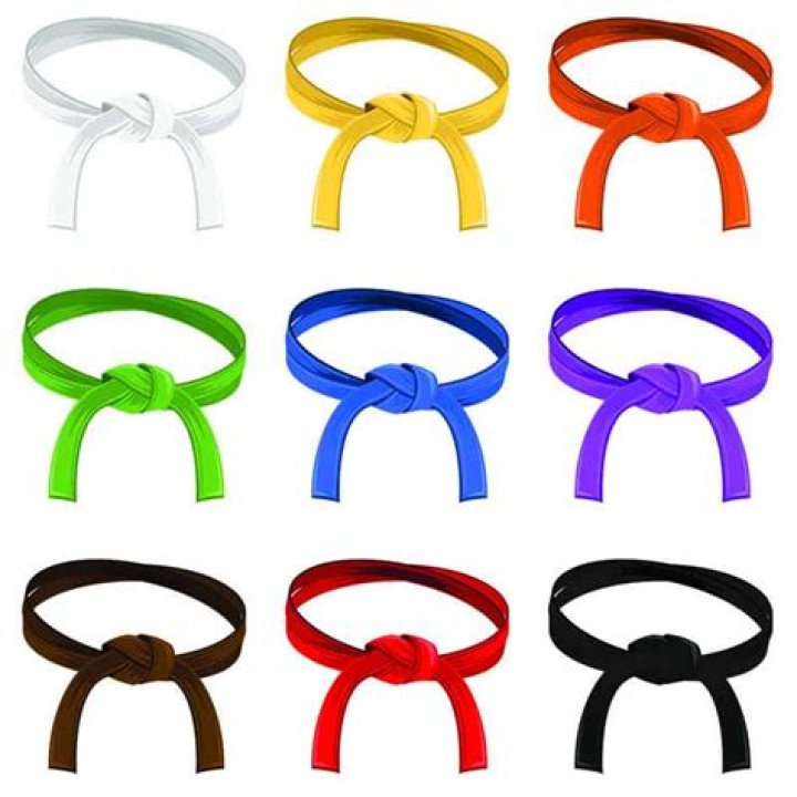 What does brown belt mean in Taekwondo?