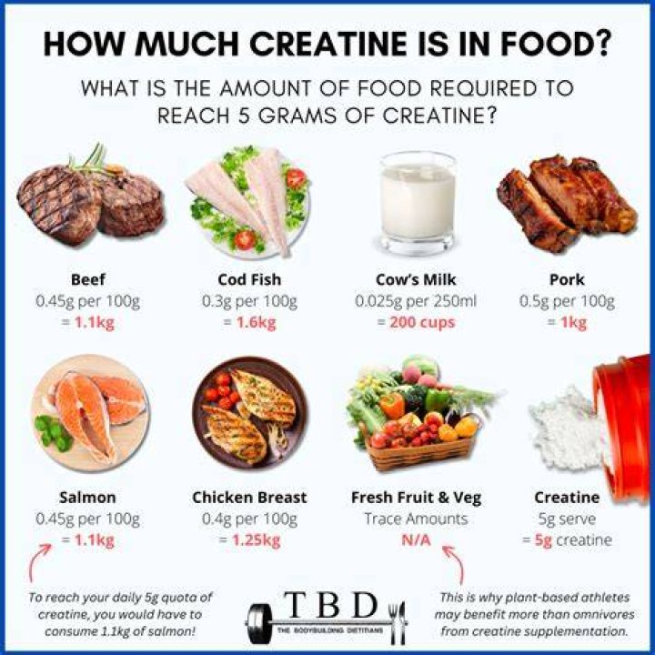 What does creatine increase?