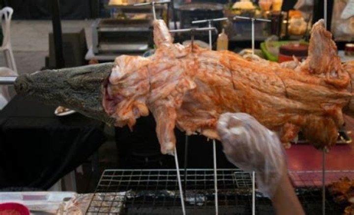 What does crocodile taste like?