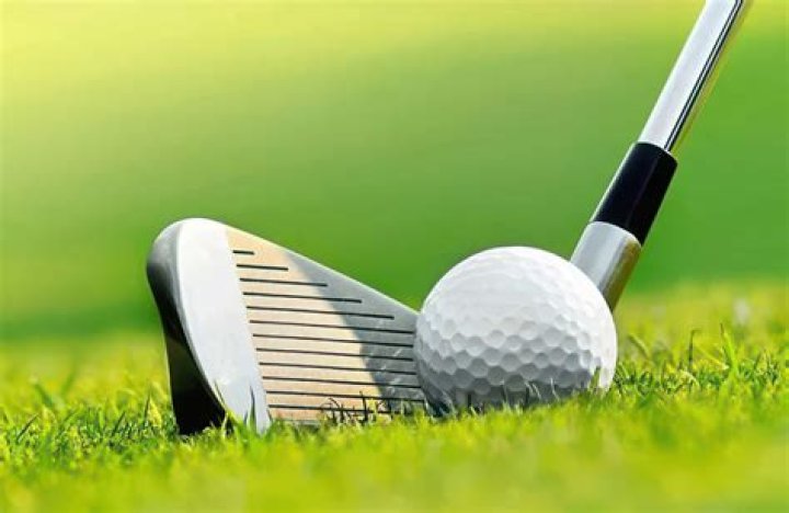 What does Dixon Golf do?