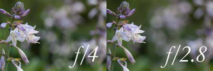 What does f4 mean on lens?