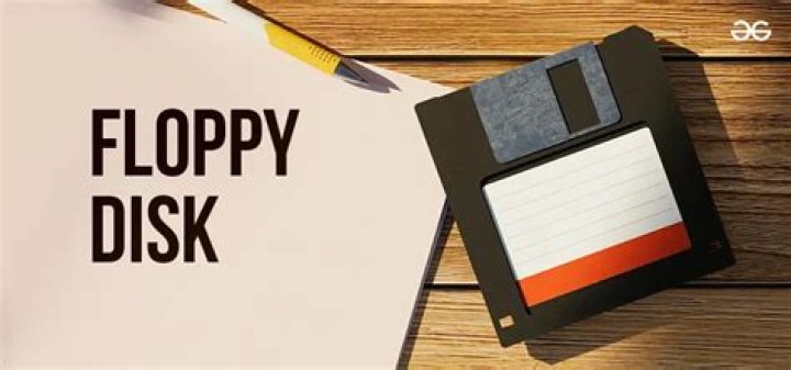 What does flippy disc mean?