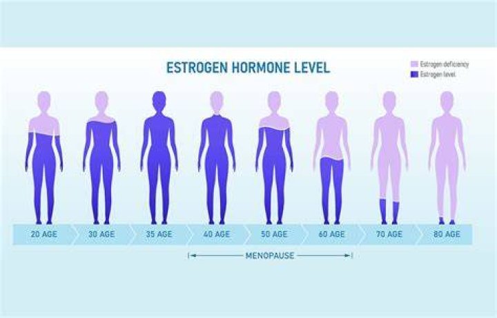 What does high estrogen do to a woman?