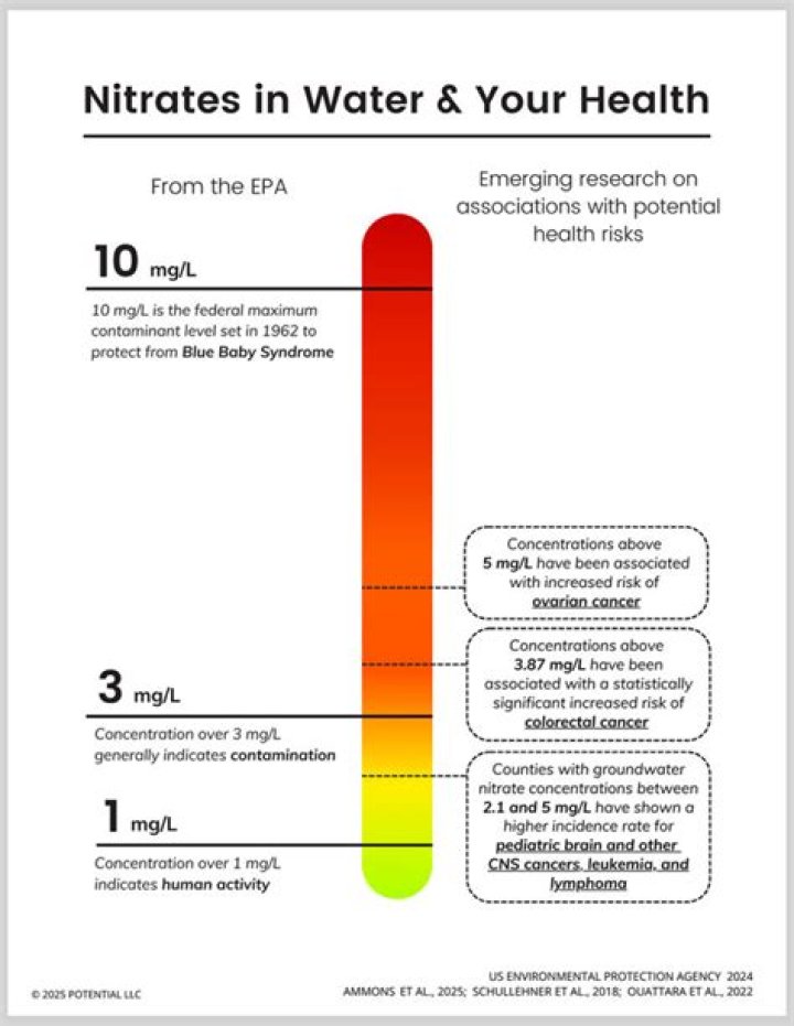 What does high nitrates in blood mean?