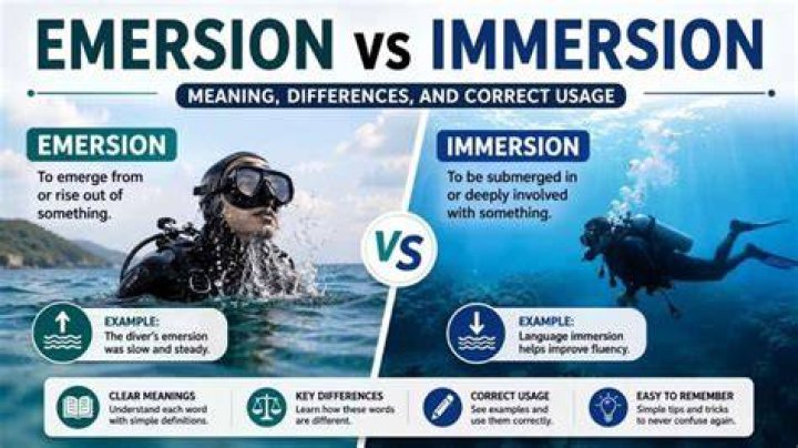 What does immersion mean in research?