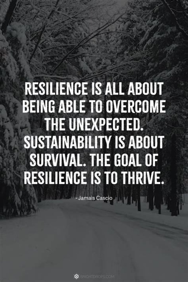 What does it mean to be called resilient?