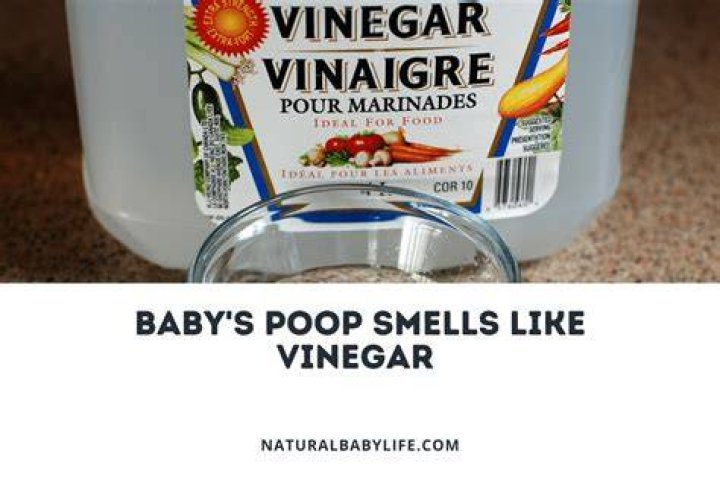 What does it mean when everything smells like vinegar?