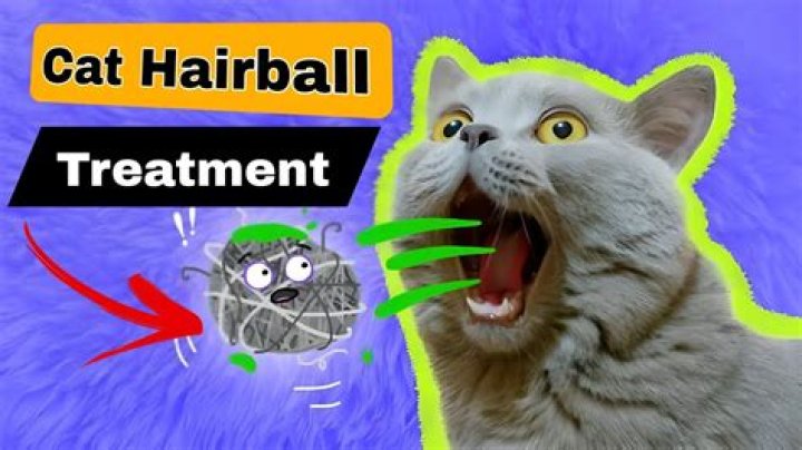 What does it sound like when a cat has hairballs?