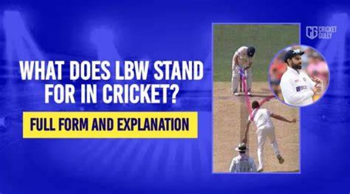 What does lbw stand in cricket?