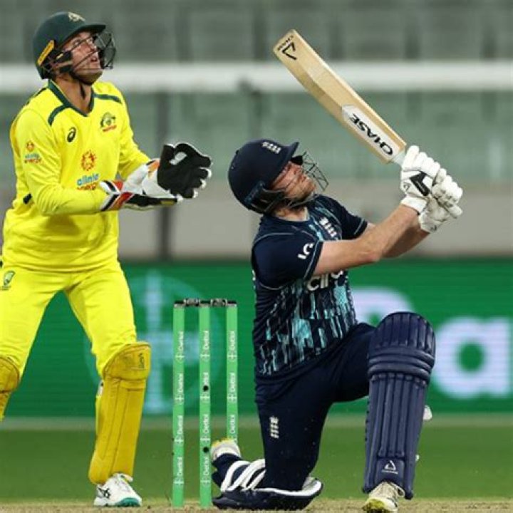 What does middle mean in cricket?
