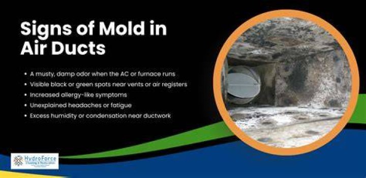 What does mold in air ducts smell like?
