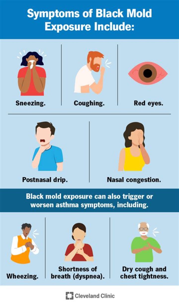 What does mold poisoning feel like?