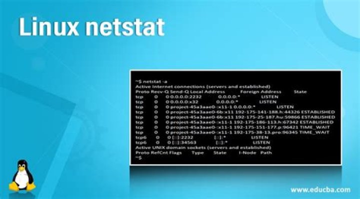 What does netstat do in Linux?