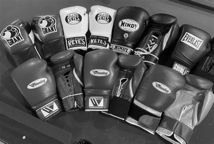 What does Northpaw mean in boxing?