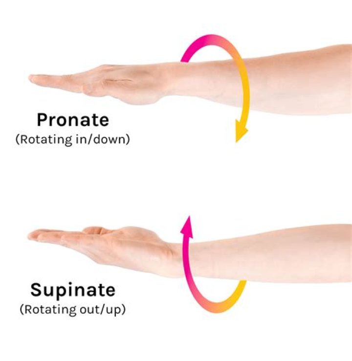 What does pronate the wrist mean?