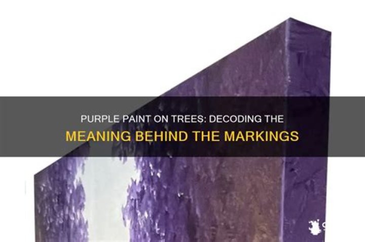 What does purple paint mean on a tree?