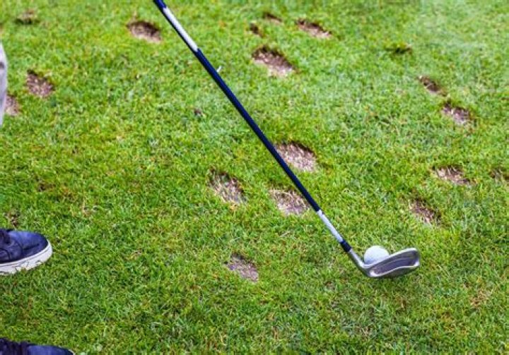 What does putting sand in divots do?