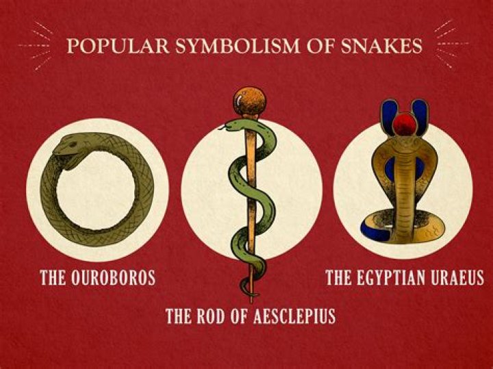 What does ride the serpent mean?