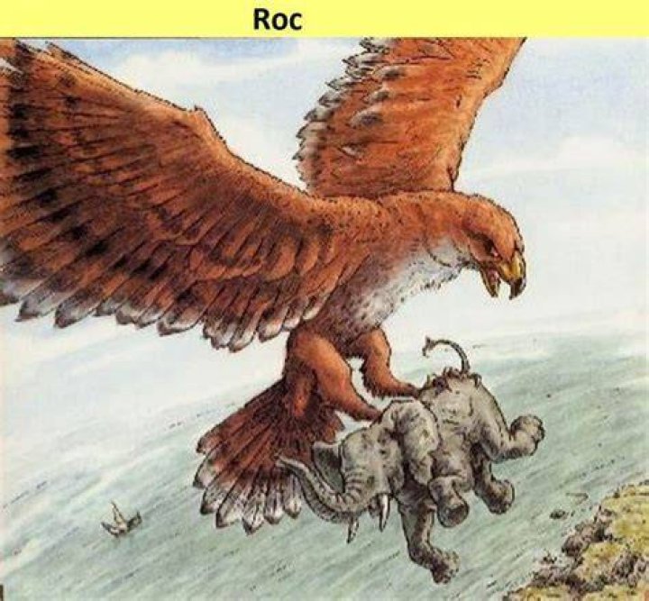 What does ROC stand for in the Olympic countries?