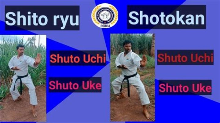 What does Ryu mean in karate?