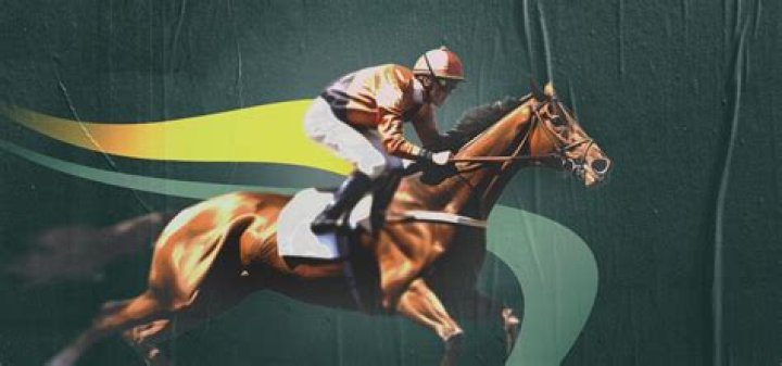 What does Second up mean in horse racing?