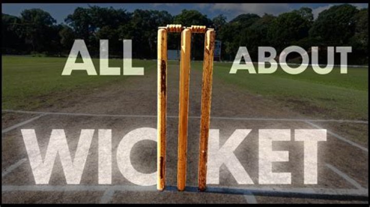 What does slow wicket mean?